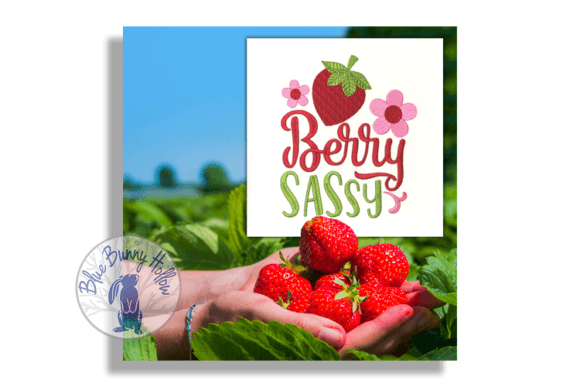 Berry Sassy: A Review for Etsy Embroidery Sellers